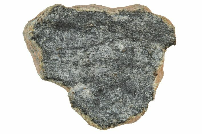 Polished Lunar Meteorite ( g) End Cut Slice - NWA #333142